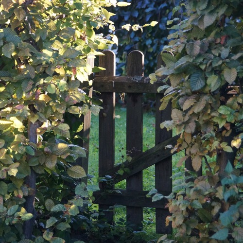 2. Gartenbegehung